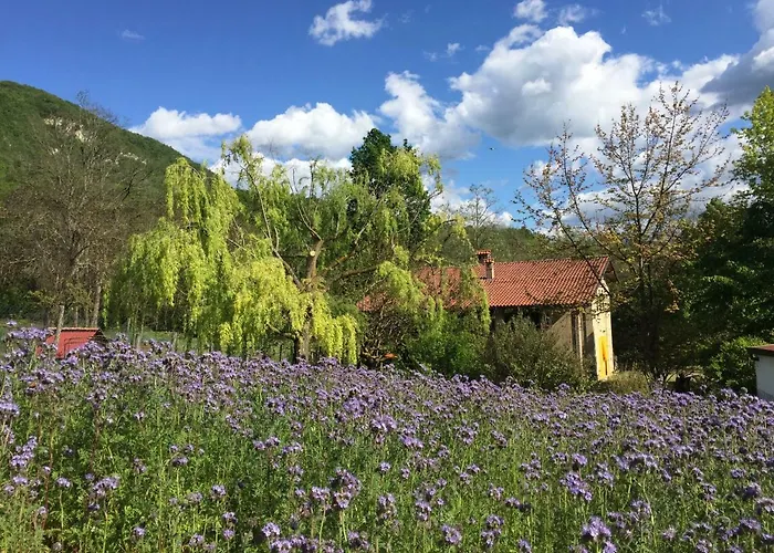 Agriturismo Spizziro